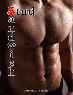 stud sandwich book cover image