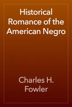 historical romance of the american negro book cover image