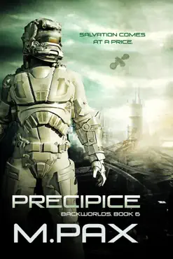 precipice book cover image