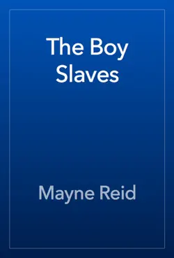 the boy slaves book cover image