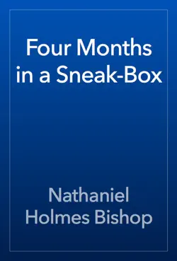 four months in a sneak-box book cover image