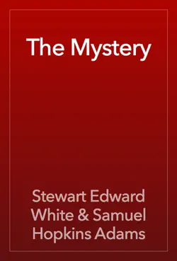 the mystery book cover image