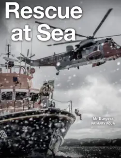 rescue at sea book cover image