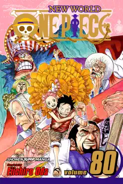 one piece, vol. 80 book cover image