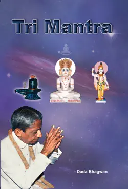 tri mantra book cover image