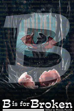 b is for broken book cover image