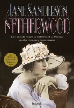 netherwood book cover image