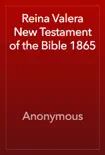 Reina Valera New Testament of the Bible 1865 synopsis, comments