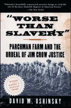 worse than slavery book cover image