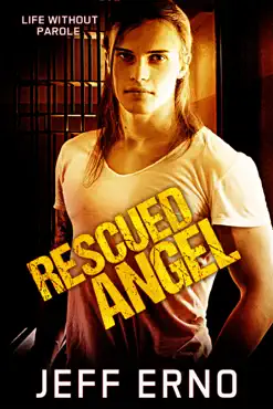 rescued angel book cover image