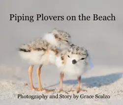 piping plovers on the beach book cover image