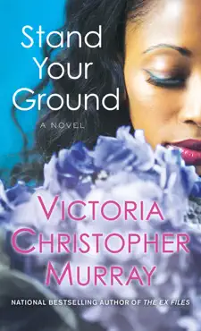 stand your ground book cover image