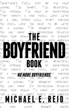 the boyfriend book book cover image