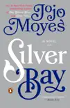 Silver Bay synopsis, comments