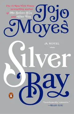 silver bay book cover image