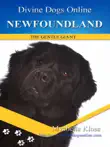 Newfoundland synopsis, comments