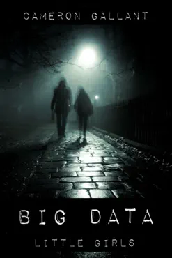 big data, little girls book cover image