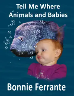 tell me where animals and babies book cover image