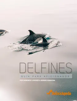 delfines imagen de la portada del libro