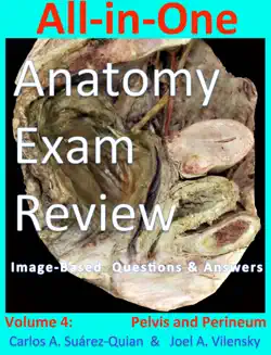 all-in-one anatomy exam review: volume 4. pelvis and perineum book cover image