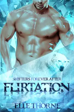 flirtation book cover image