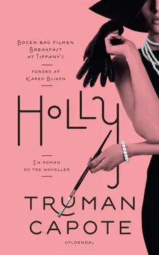 holly book cover image