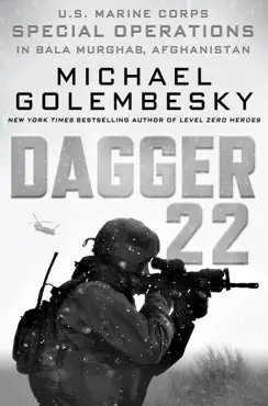 dagger 22 book cover image