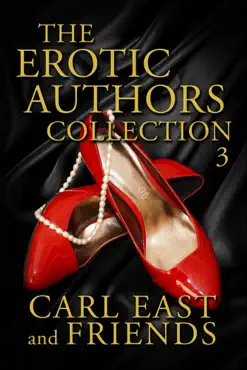 the erotic authors collection 3 book cover image