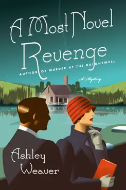 a most novel revenge book cover image