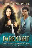 Darknight synopsis, comments