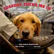 Tuesday Tucks Me In synopsis, comments