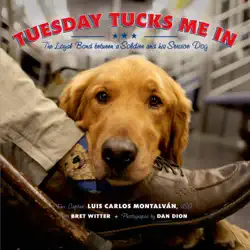 tuesday tucks me in book cover image
