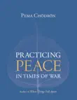 Practicing Peace in Times of War sinopsis y comentarios