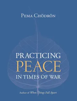 practicing peace in times of war book cover image