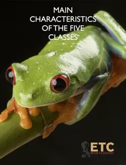 main characteristics of the five classes book cover image