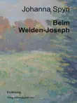 Der Weiden-Joseph sinopsis y comentarios