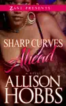 Sharp Curves Ahead synopsis, comments