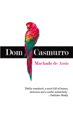 dom casmurro book cover image