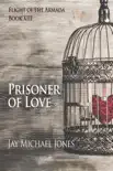 13 Prisoner of Love sinopsis y comentarios