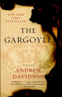 the gargoyle book cover image