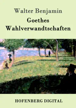 goethes wahlverwandtschaften imagen de la portada del libro