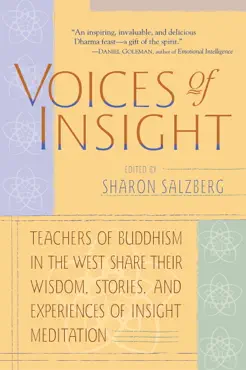 voices of insight book cover image