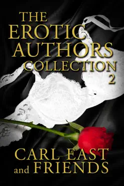 the erotic authors collection 2 book cover image
