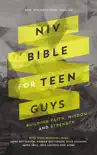 NIV, Bible for Teen Guys synopsis, comments
