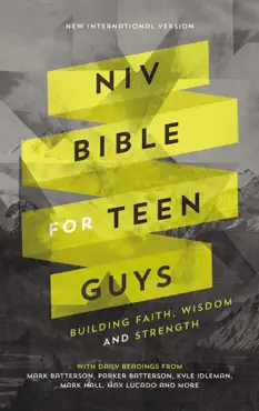 niv, bible for teen guys book cover image
