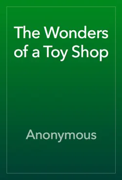 the wonders of a toy shop book cover image