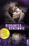 Riskantes Geheimnis synopsis, comments