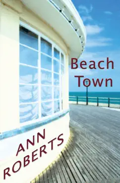 beach town book cover image