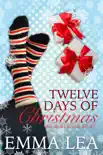 Twelve Days of Christmas, His Side of the Story synopsis, comments