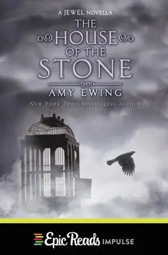 the house of the stone book cover image